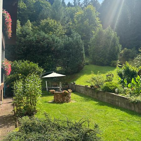 Готель Pension Ernst Im Herzen Des Pfaelzerwaldes Mit Kueche Elmstein Екстер'єр фото