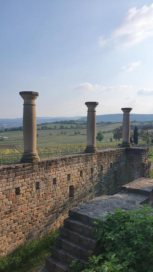 Готель Pension Ernst Im Herzen Des Pfaelzerwaldes Mit Kueche Elmstein Екстер'єр фото