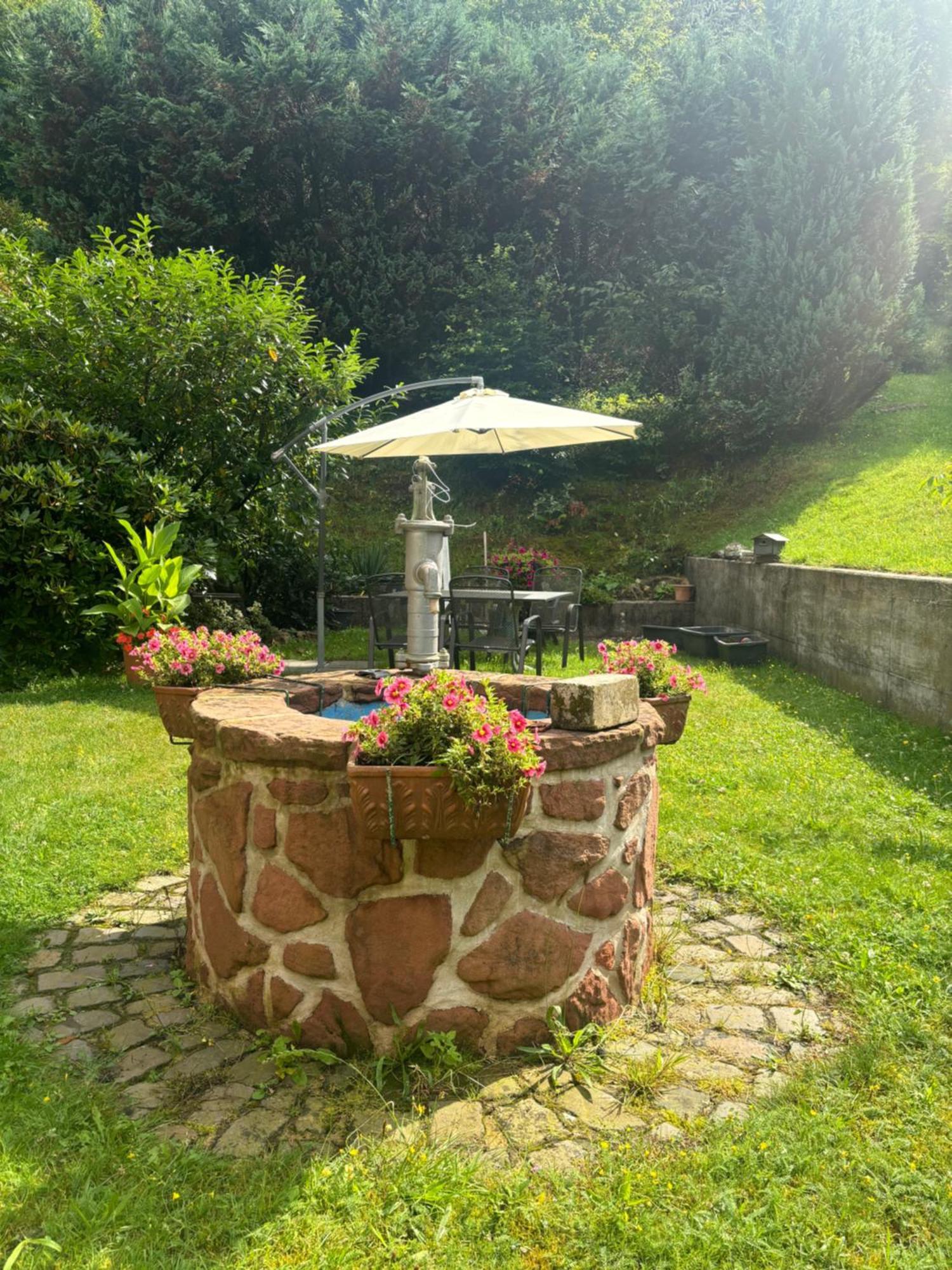 Готель Pension Ernst Im Herzen Des Pfaelzerwaldes Mit Kueche Elmstein Екстер'єр фото