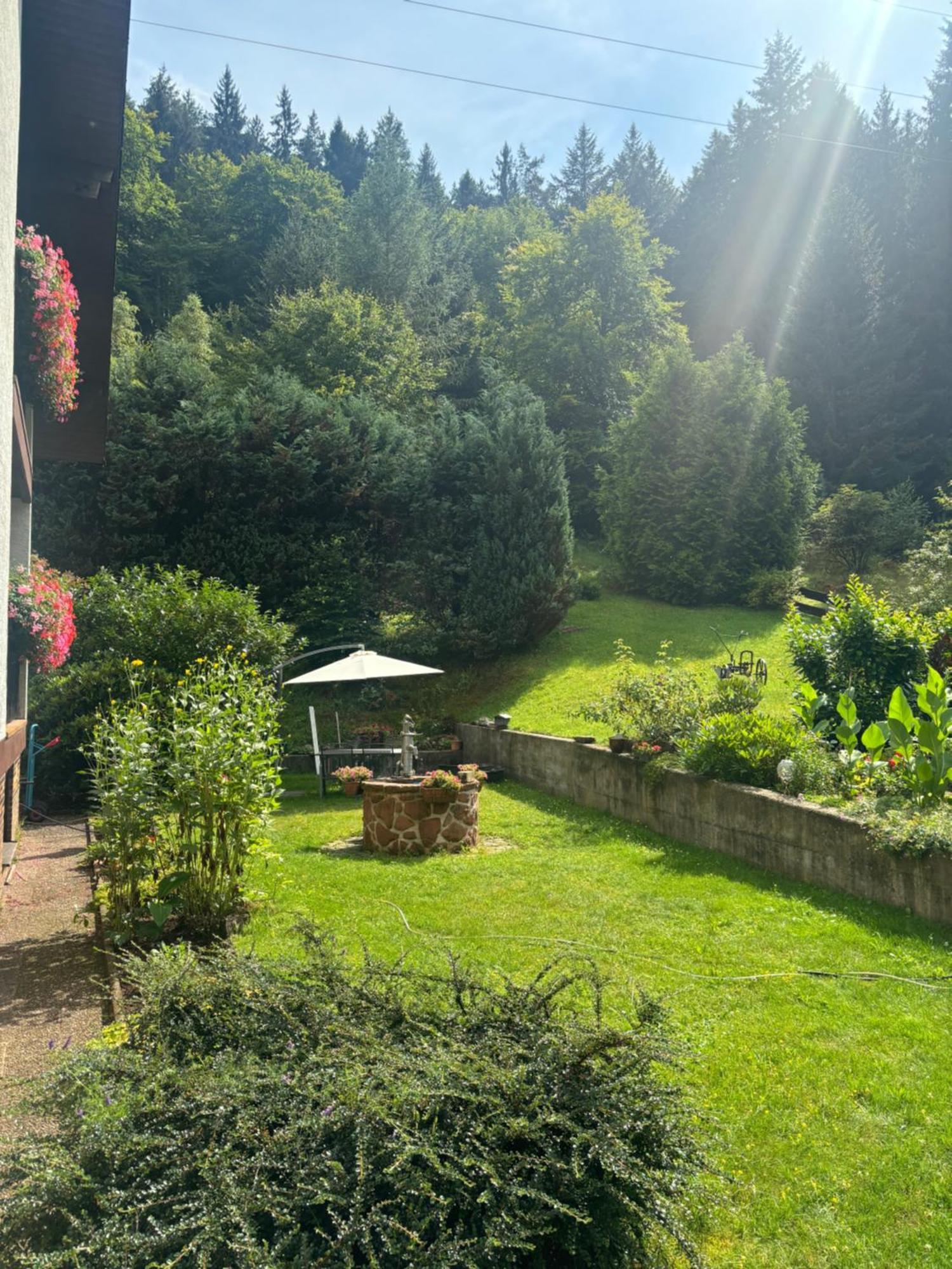 Готель Pension Ernst Im Herzen Des Pfaelzerwaldes Mit Kueche Elmstein Екстер'єр фото