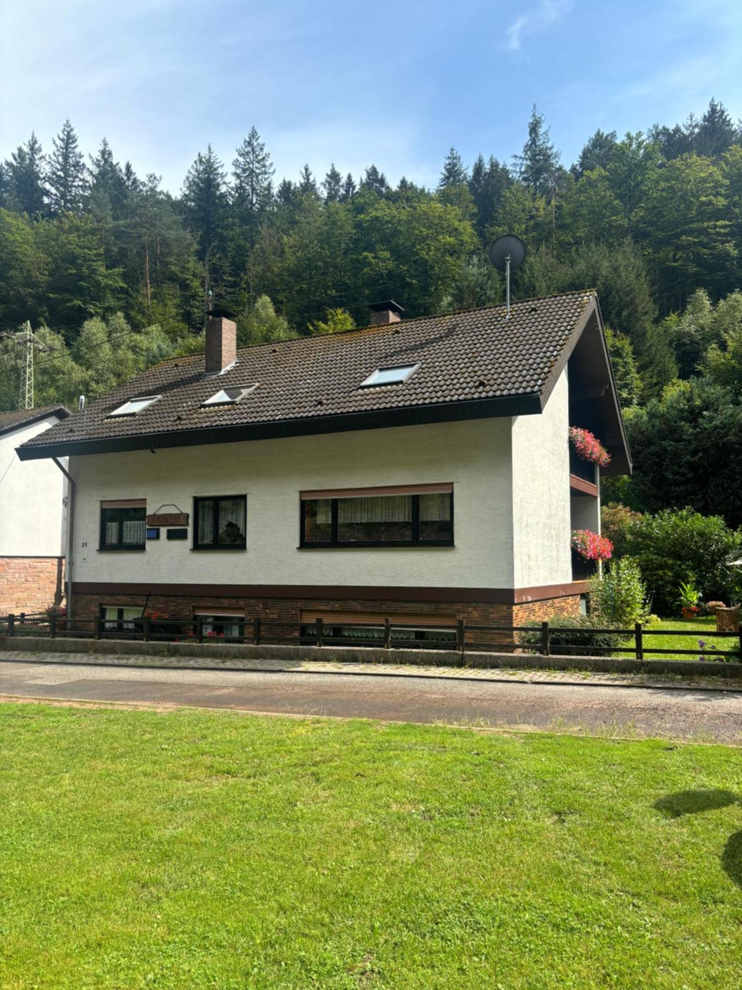 Готель Pension Ernst Im Herzen Des Pfaelzerwaldes Mit Kueche Elmstein Екстер'єр фото